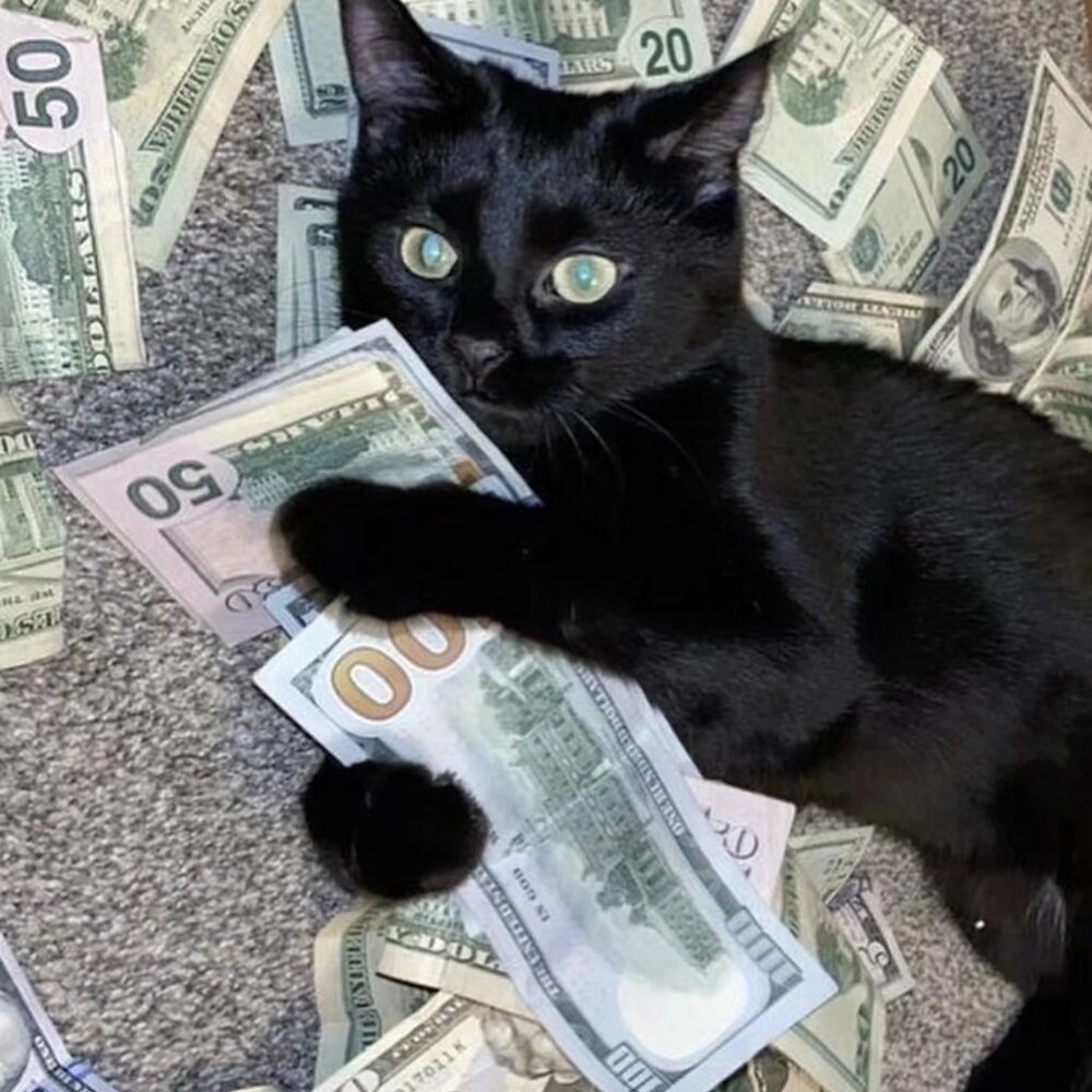 Meet your Posher, Florine